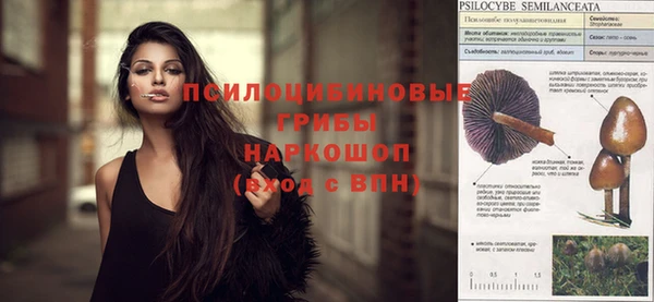 героин Бородино