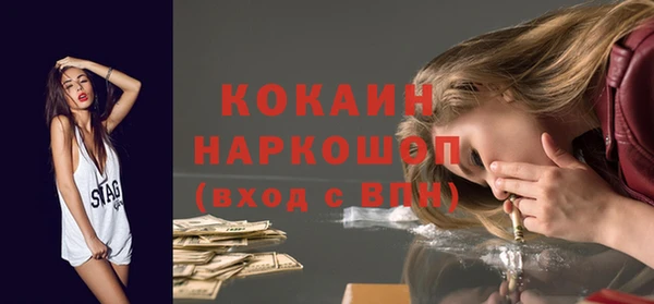 сатива Бронницы
