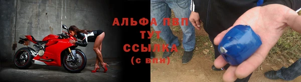 сатива Бронницы