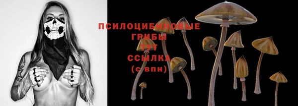 героин Бородино