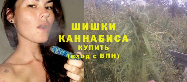 сатива Бронницы