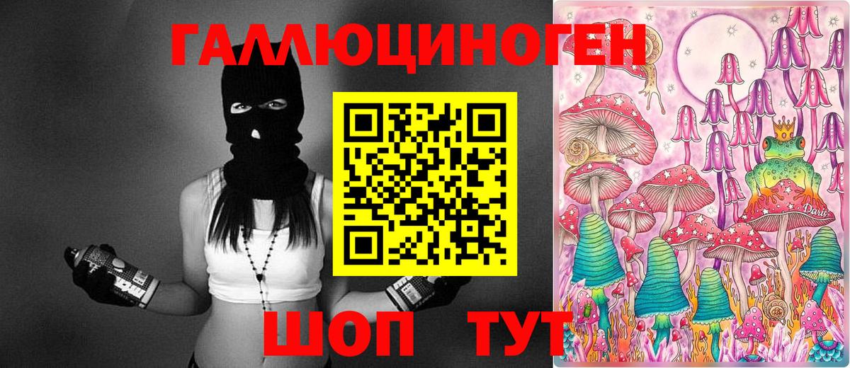 Псилоцибиновые грибы Psilocybine cubensis  Бугульма  Галлюциногенные грибы Magic Shrooms 
