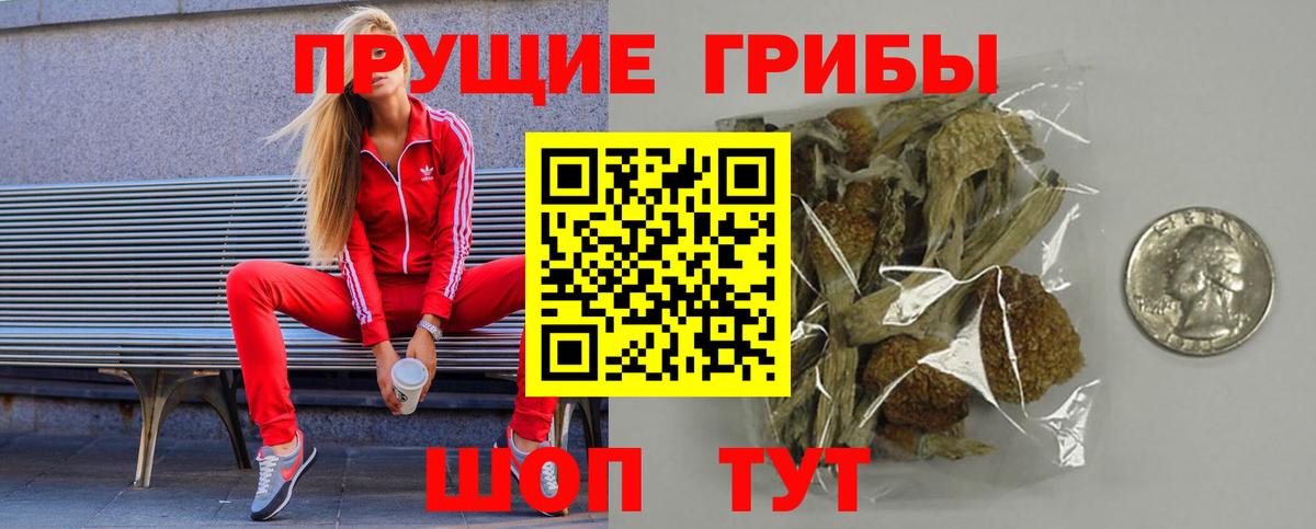 Псилоцибиновые грибы Cubensis Бугульма