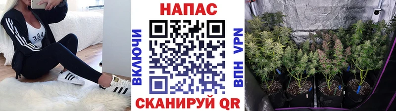 как найти   Бугульма  Канабис тримм 